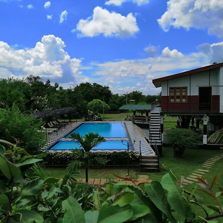 Eco Hotel Black & White - Anuradhapura Mihintale Eksteriør bilde