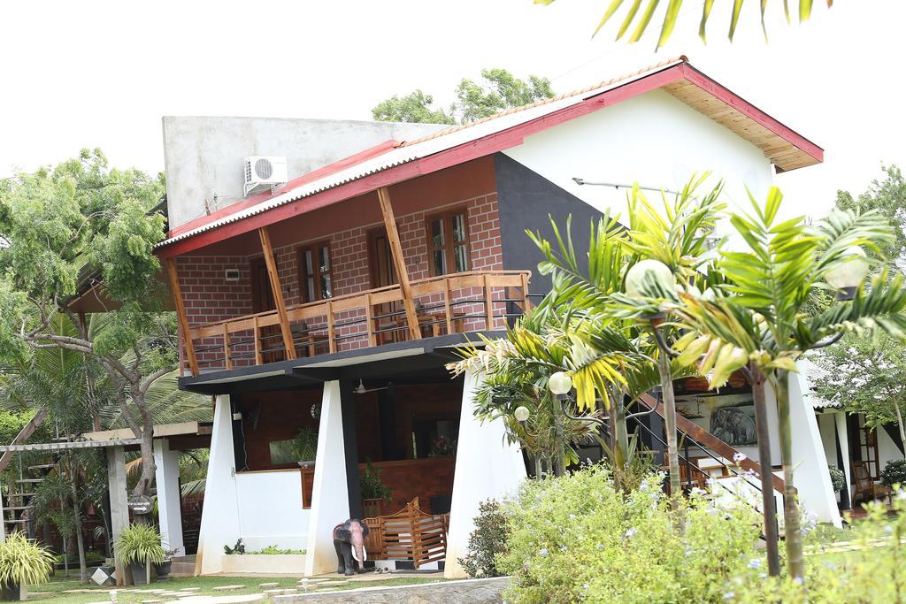 Eco Hotel Black & White - Anuradhapura Mihintale Eksteriør bilde