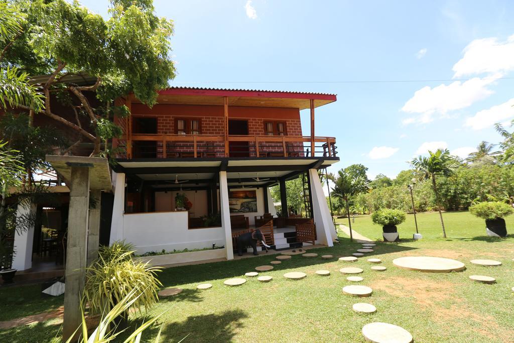 Eco Hotel Black & White - Anuradhapura Mihintale Eksteriør bilde