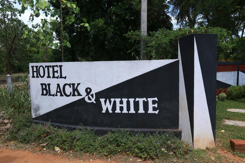 Eco Hotel Black & White - Anuradhapura Mihintale Eksteriør bilde