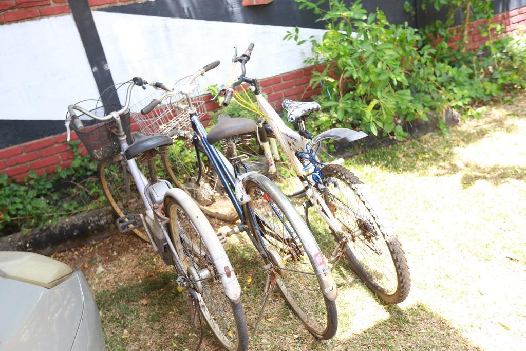 Eco Hotel Black & White - Anuradhapura Mihintale Eksteriør bilde