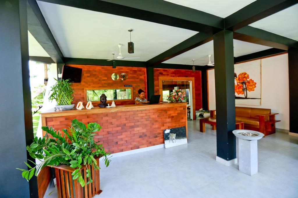 Eco Hotel Black & White - Anuradhapura Mihintale Eksteriør bilde