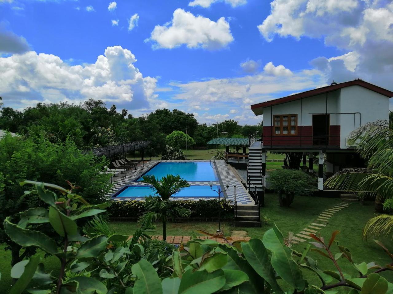 Eco Hotel Black & White - Anuradhapura Mihintale Eksteriør bilde